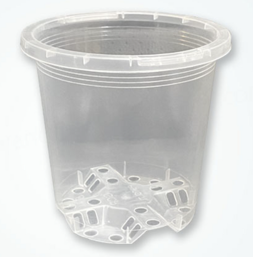 90mm Clear Squat Plastic Pot