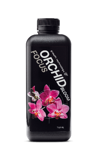 Orchid Bloom Focus 1L