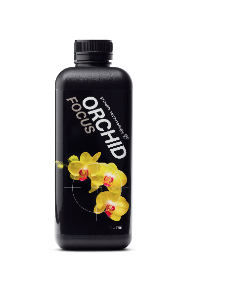 Orchid Focus 1Lt