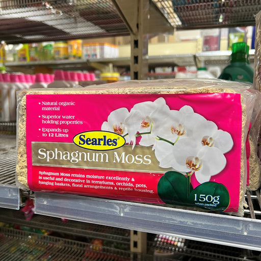 Sphagnum Moss