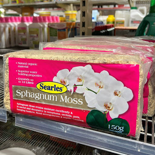 Sphagnum Moss