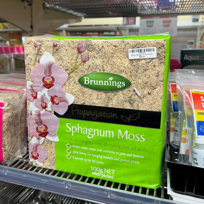 Sphagnum Moss