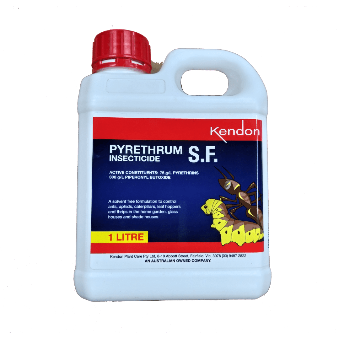 Pyrethrum Based Insecticide Label Pyrethrum SF Insecticide 1Lt — Nuleaf