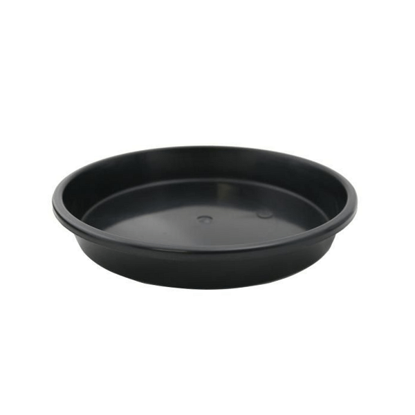 250mm Standard Saucer