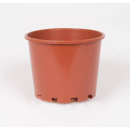 100mm Squat Plastic Pot 