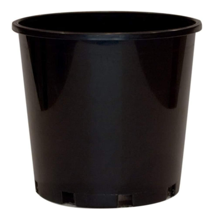 150mm Standard Black Plastic Pot - Each - Standard Pots