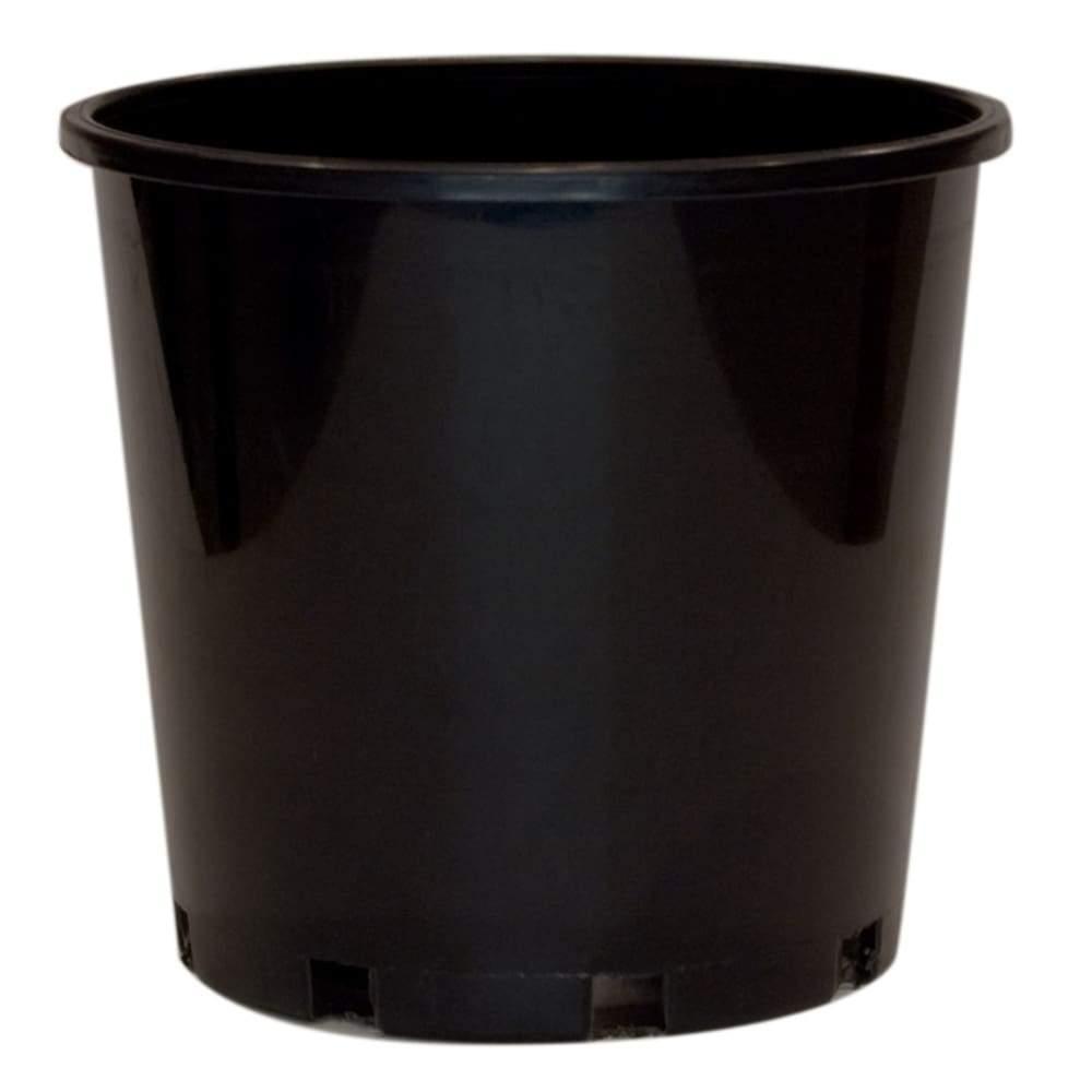 180mm Standard Black Plastic Pot - Each - Standard Pots