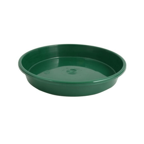 200mm Standard Saucer