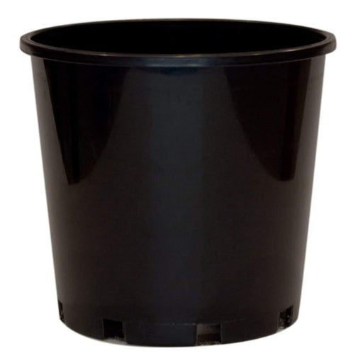 200mm Standard Black Plastic Pot - Each - Standard Pots
