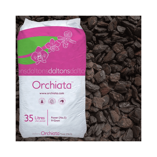 Orchiata Bark Power 9-12mm - Nuleaf