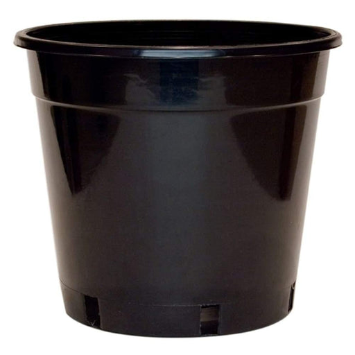 300mm Standard Black Plastic Pot - Each - Standard Pots