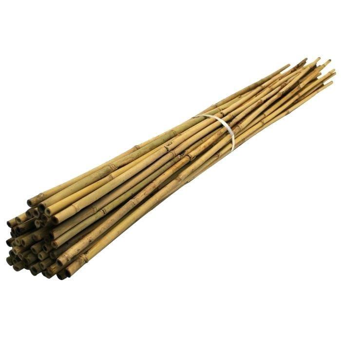Bamboo Stake 30cm - Bamboo Stakes