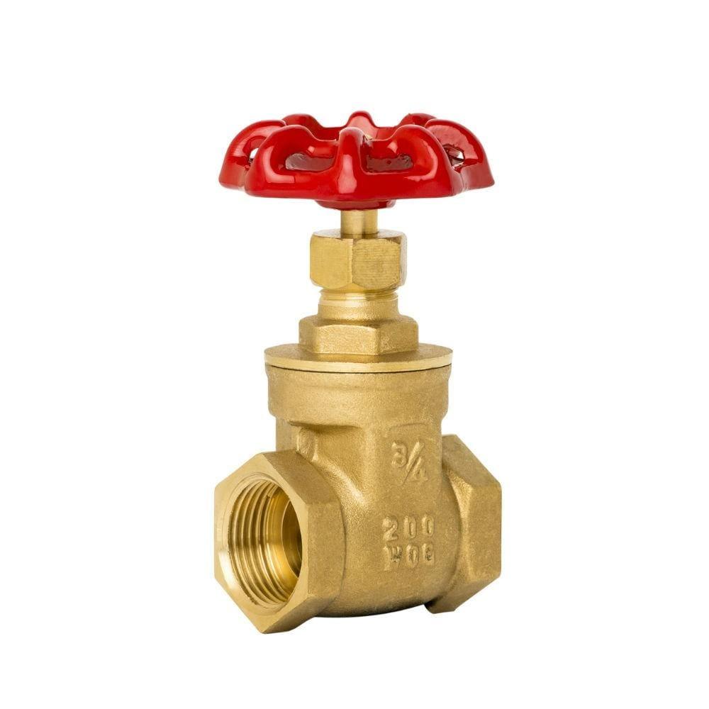 Brass Gate Valve - 13mm