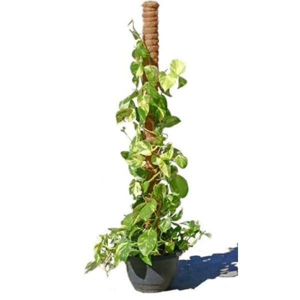 Coir Totem Stakes 110cm - Coir Totem Stakes