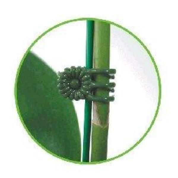 Flower Spike Clips x 10 - Medium - Bamboo Stakes