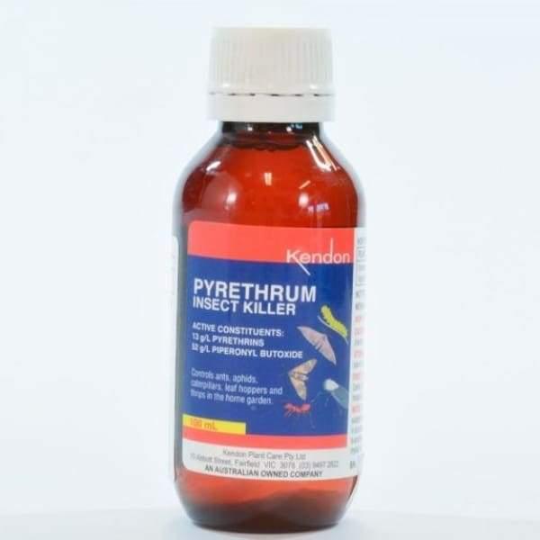 Pyrethrum Insecticide - 100ml - Insecticide