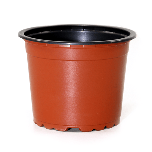 120mm TEKU Squat Pot (Soft Plastic) - Nuleaf