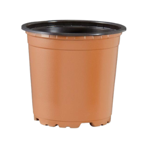 Squat Pots