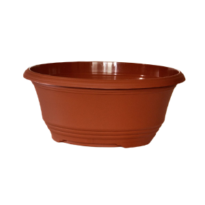 Flower Bowls