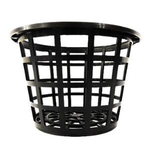 Orchid & Vanda Baskets