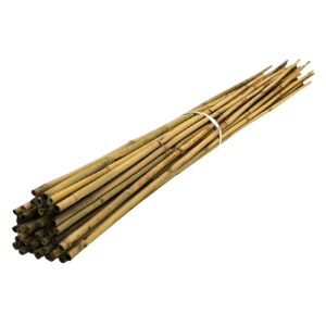 Stakes