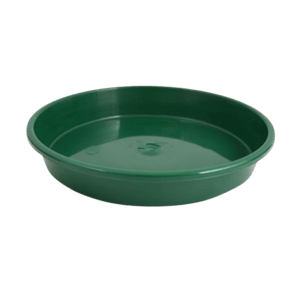 Saucers